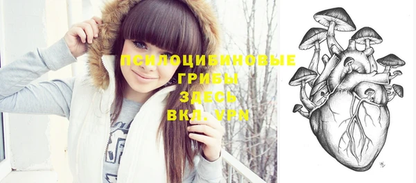 mdpv Вяземский