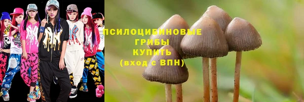 mdpv Вяземский