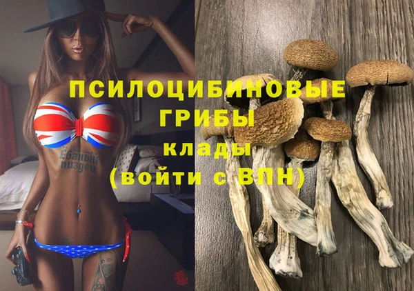 mdpv Вяземский
