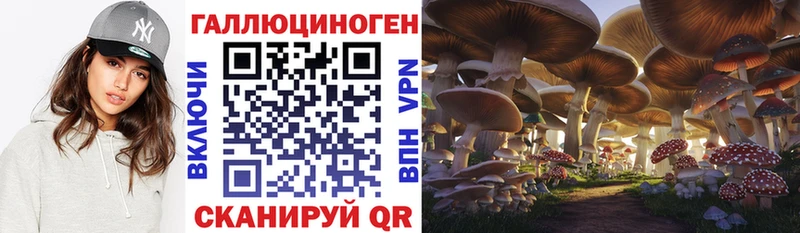 Купить где  Советская Гавань  Галлюциногенные грибы мицелий 